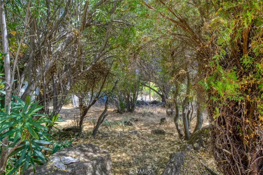 10055 Monte Cristo Kelseyville, CA 95451