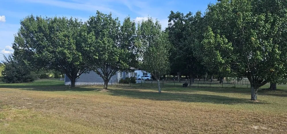 4593 State Highway 110 Grand Saline, TX 75140