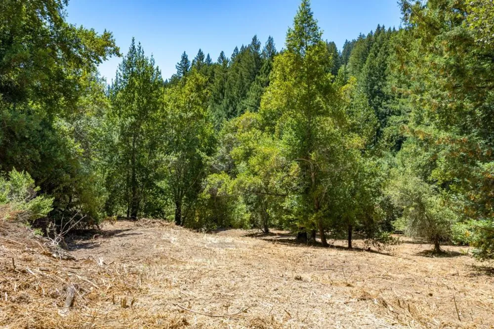 Glenwood Drive Los Gatos, CA 95033