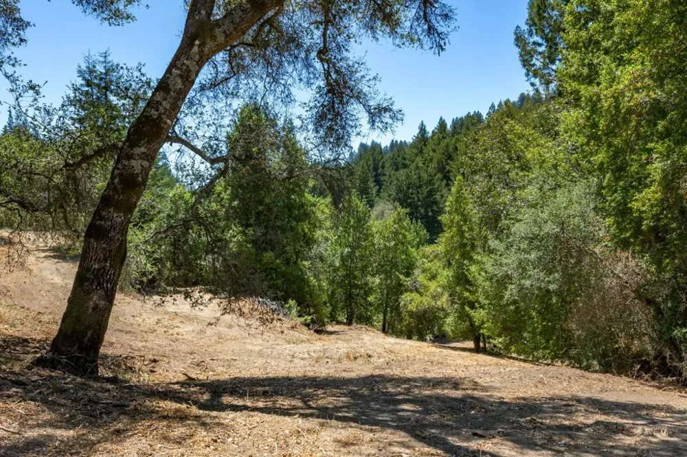 Glenwood Drive Los Gatos, CA 95033