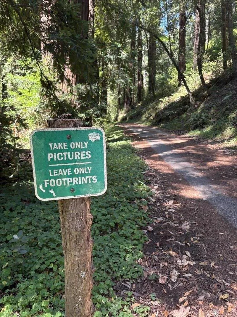 403 Pioneer Lane Scotts Valley, CA 95066
