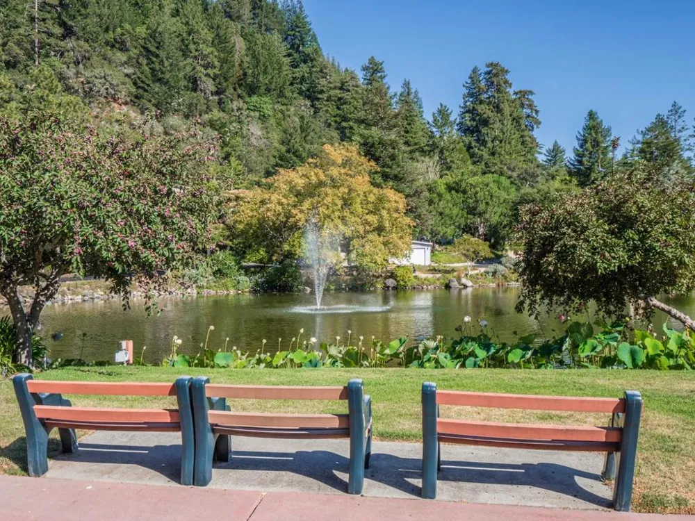 552 Bean Creek Road #202 Scotts Valley, CA 95066