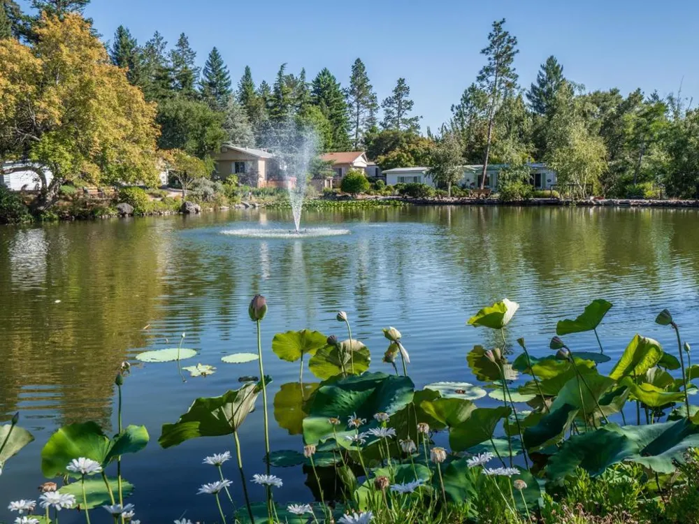 552 Bean Creek Road #202 Scotts Valley, CA 95066
