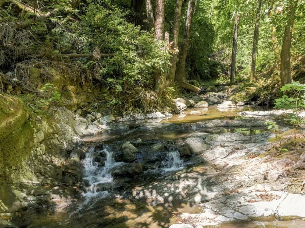 820 Bear Creek Boulder Creek, CA 95006