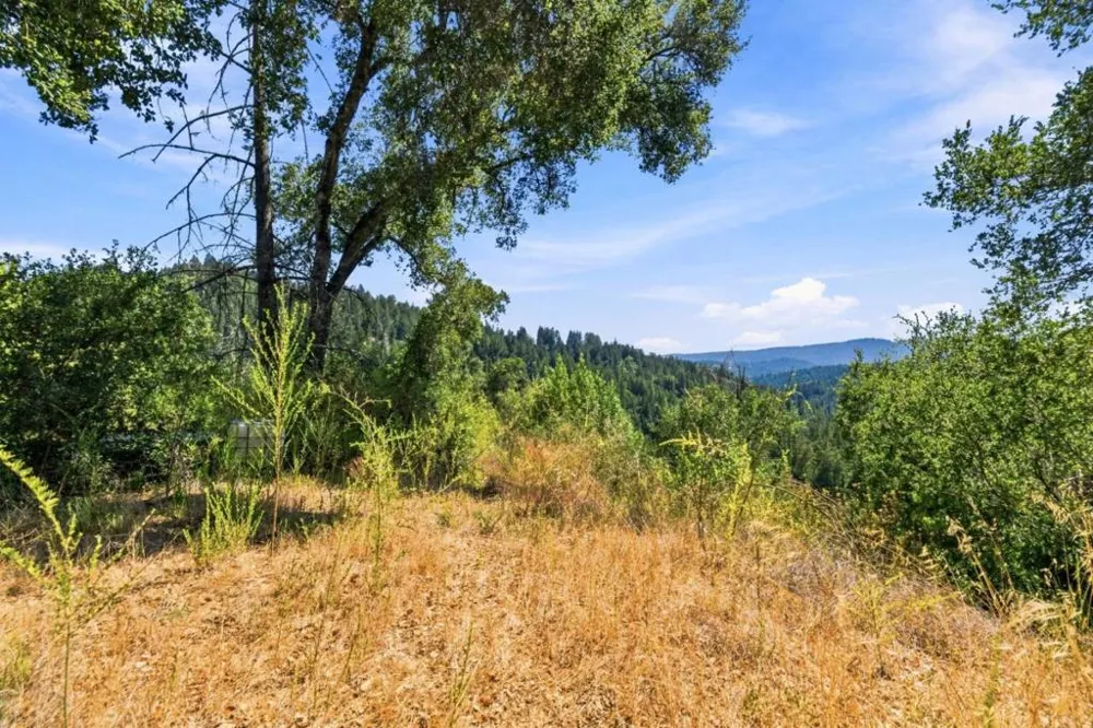 820 Bear Creek Boulder Creek, CA 95006