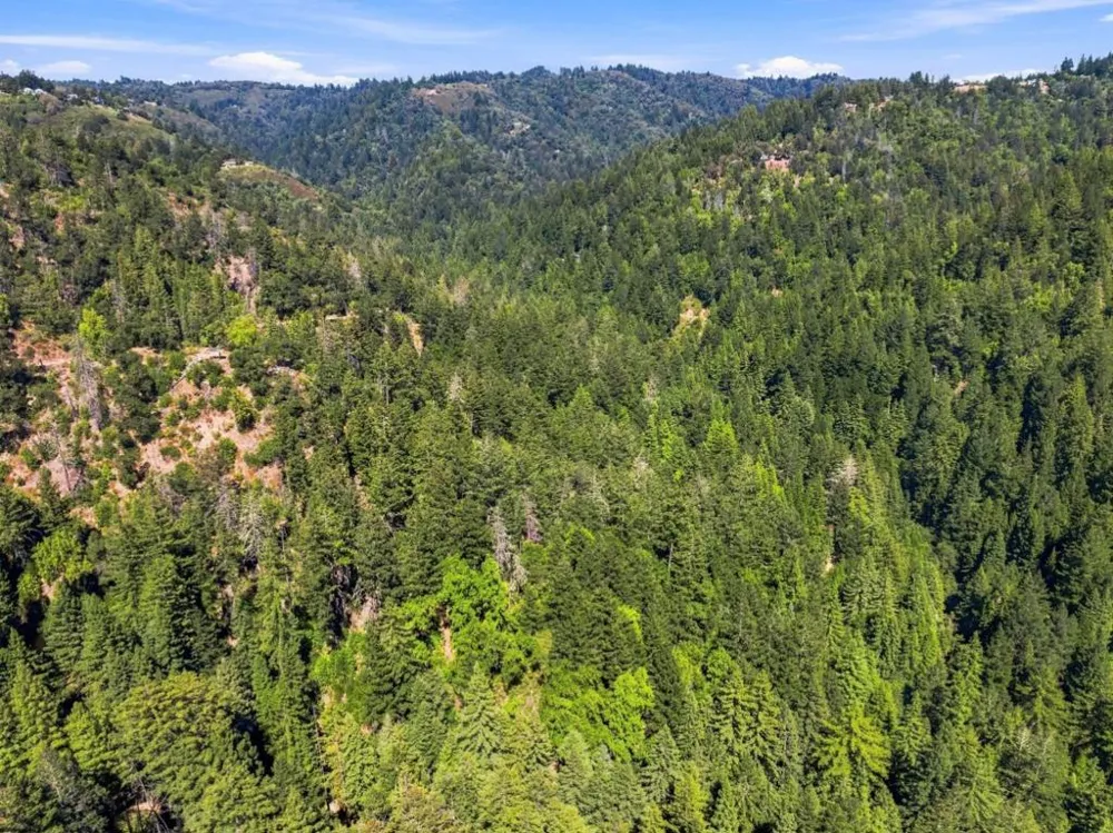 820 Bear Creek Boulder Creek, CA 95006