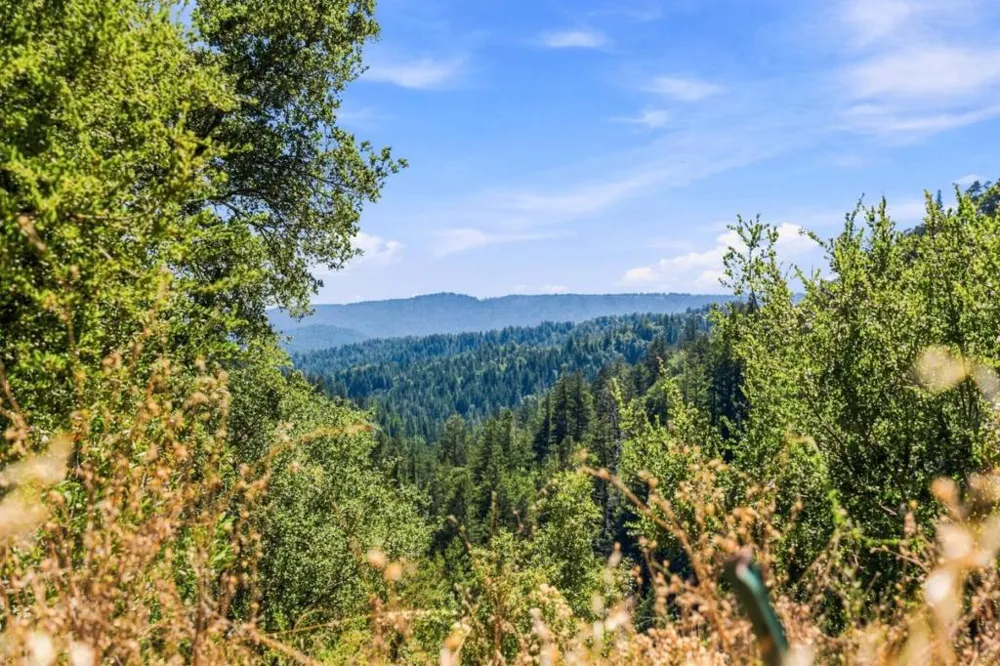 820 Bear Creek Boulder Creek, CA 95006