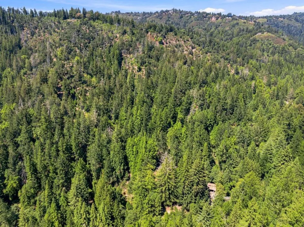 820 Bear Creek Boulder Creek, CA 95006