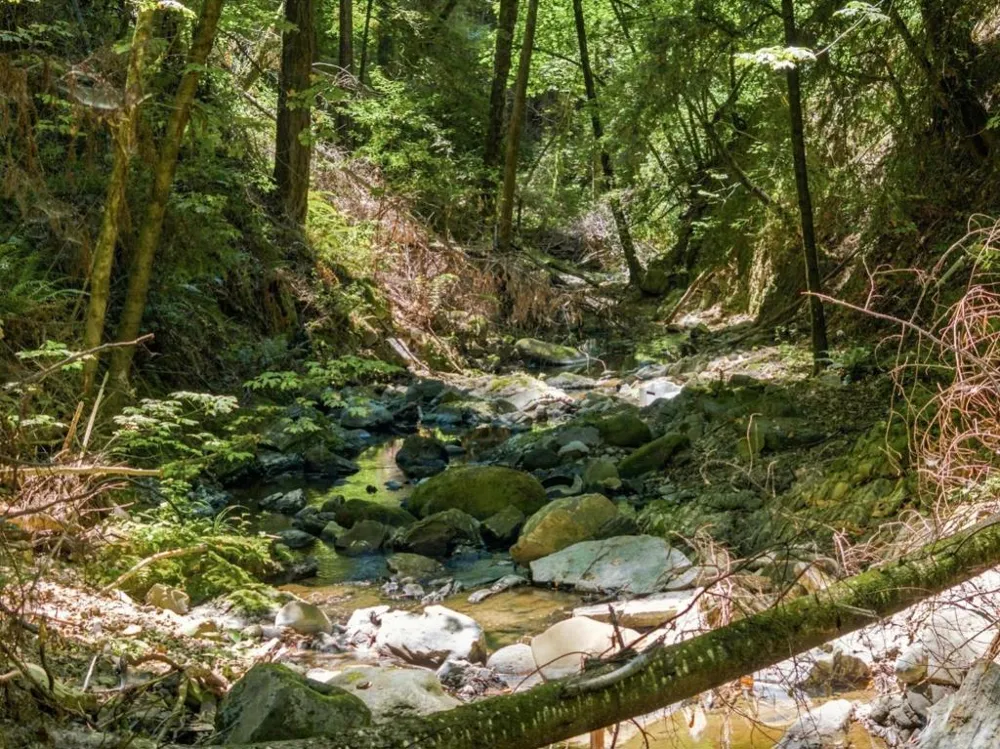 820 Bear Creek Boulder Creek, CA 95006