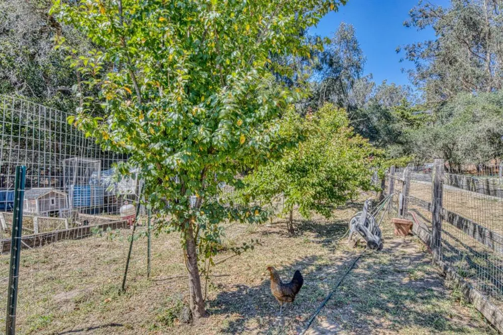 202 Carneros Avenue Aromas, CA 95004