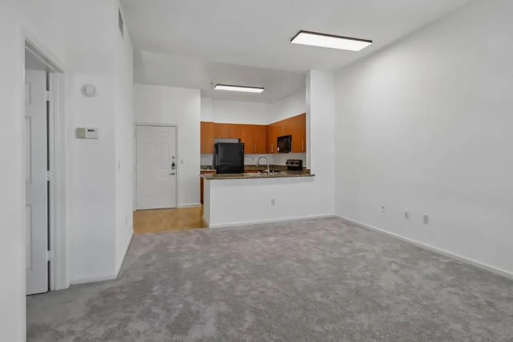 1060 S 3rd Street #339 San Jose, CA 95112