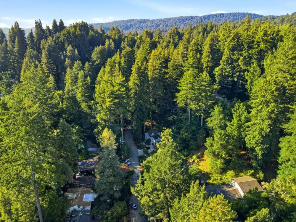 339 Fall Creek Drive Felton, CA 95018