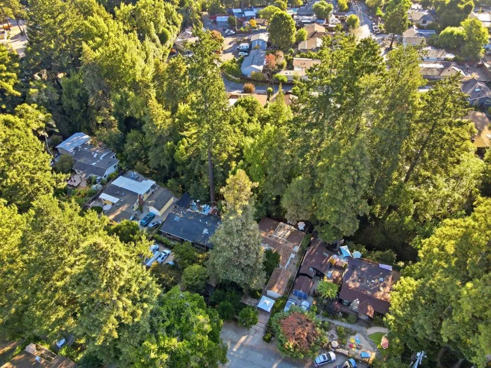 339 Fall Creek Drive Felton, CA 95018