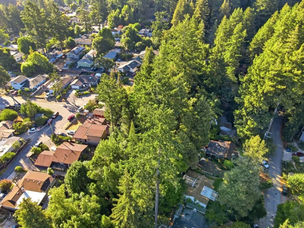 339 Fall Creek Drive Felton, CA 95018