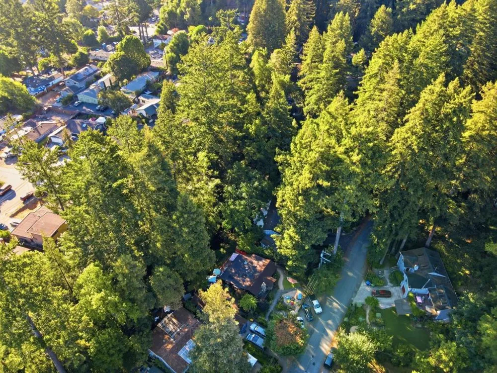 339 Fall Creek Drive Felton, CA 95018