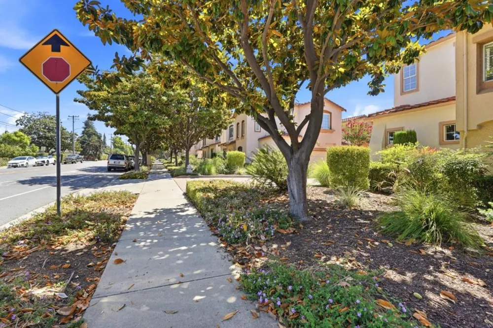 425 S Monroe Street San Jose, CA 95128