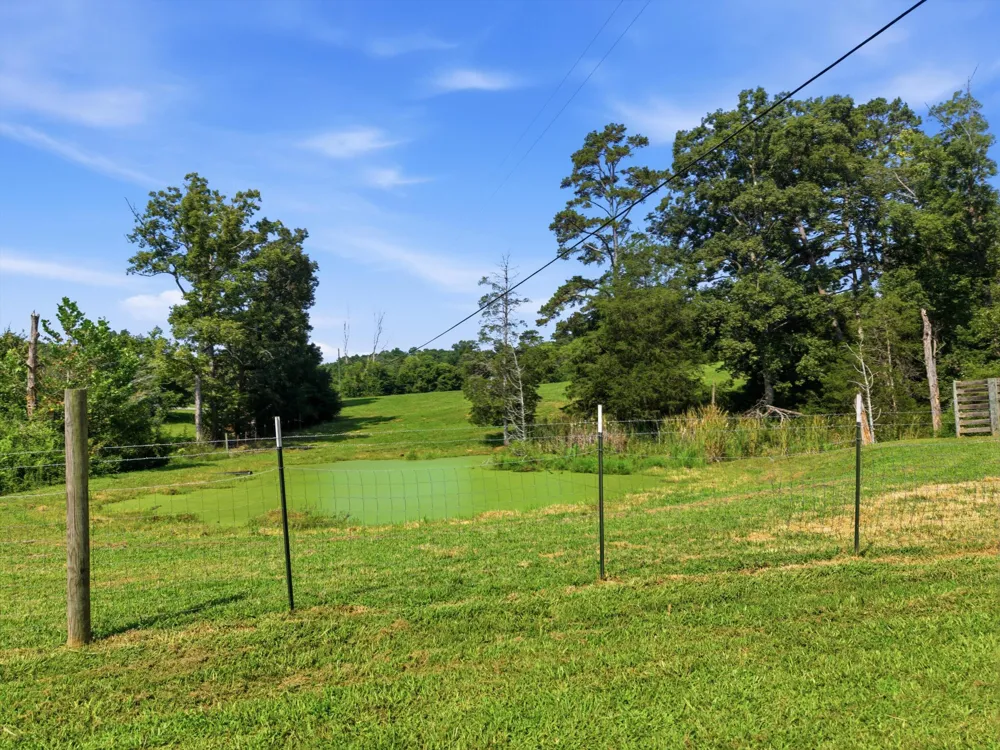 151 Saffles Lane Madisonville, TN 37354