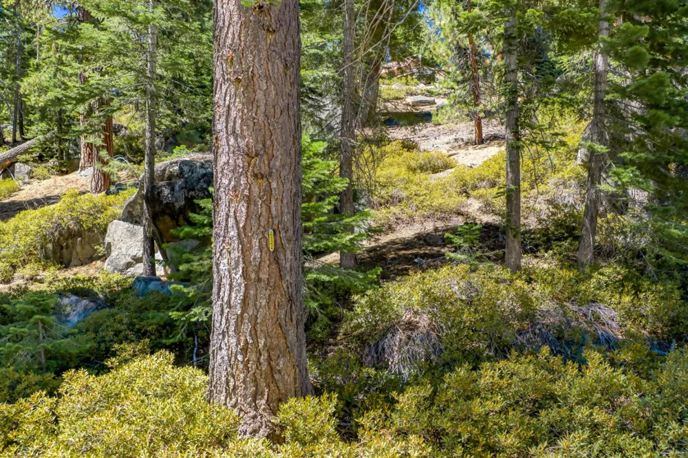 24 Bear Creek Lane Lakeshore, CA 93664