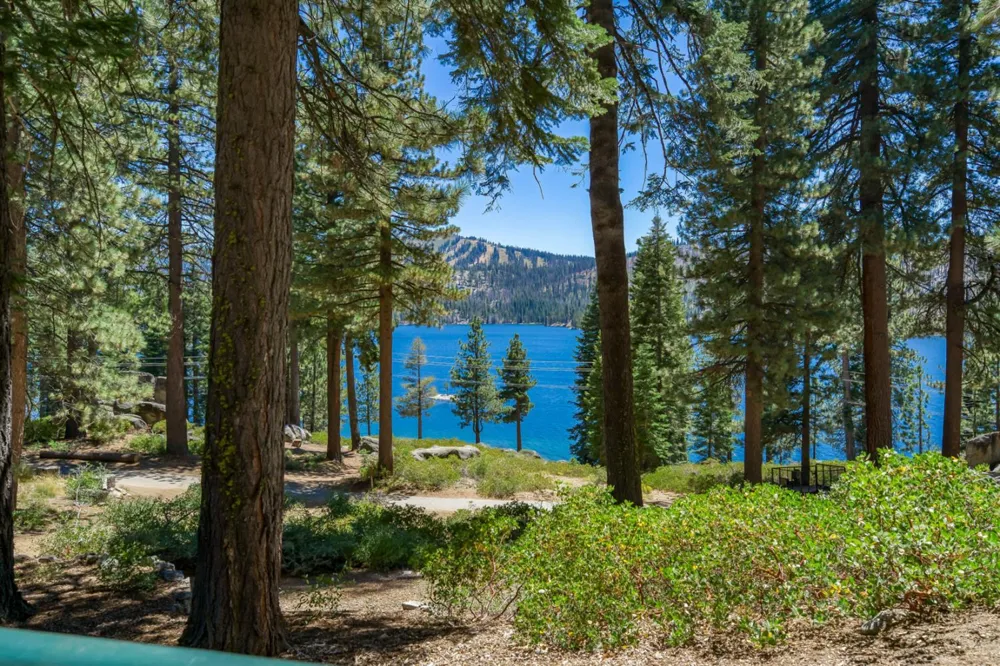 24 Bear Creek Lane Lakeshore, CA 93664