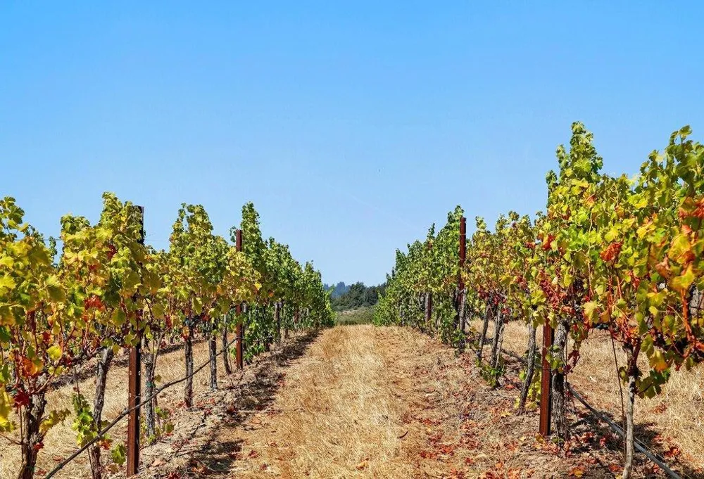 211 Smith Road Watsonville, CA 95076