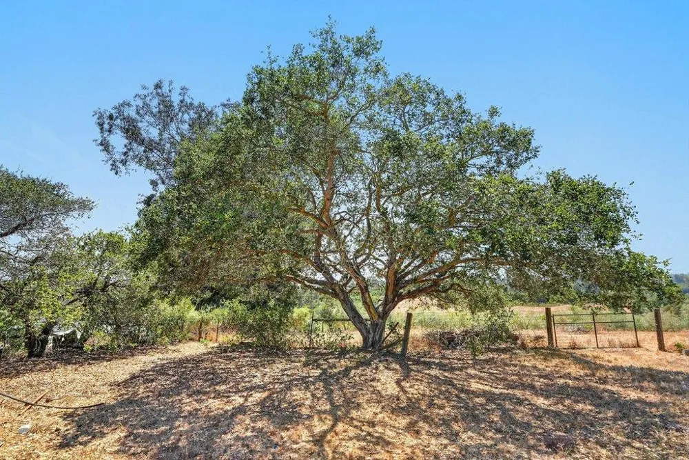 211 Smith Road Watsonville, CA 95076