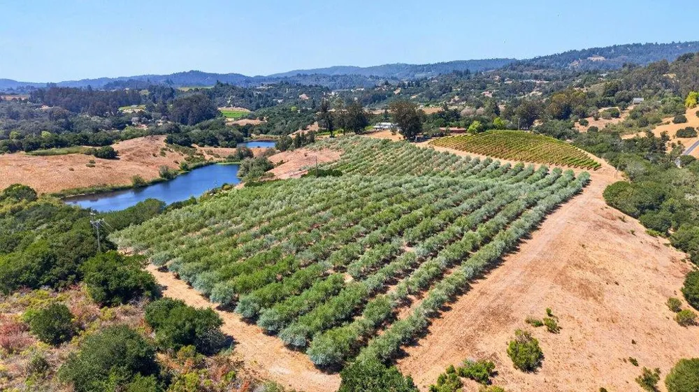 211 Smith Road Watsonville, CA 95076