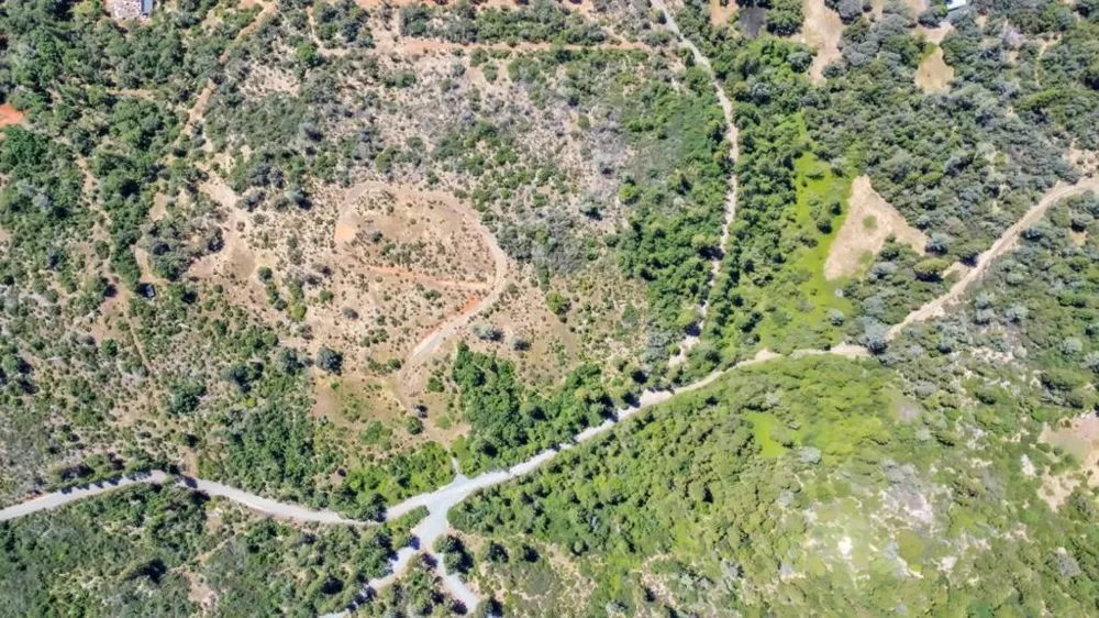 Lake Francis Dobbins, CA 95935