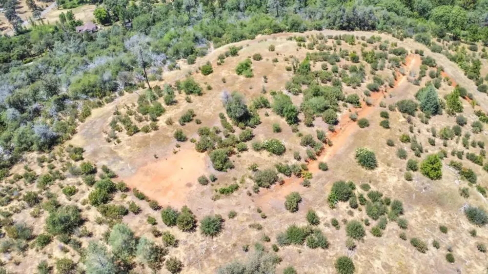 Lake Francis Dobbins, CA 95935