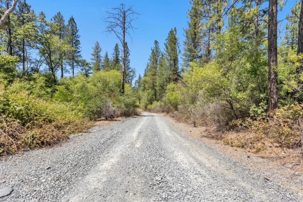 Lake Francis Dobbins, CA 95935
