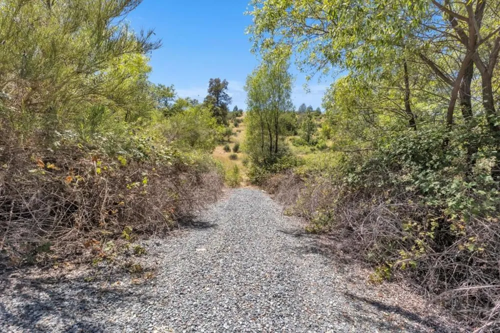 Lake Francis Dobbins, CA 95935