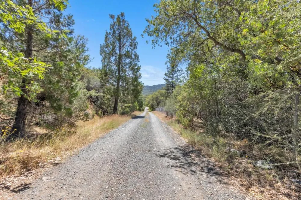 Lake Francis Dobbins, CA 95935