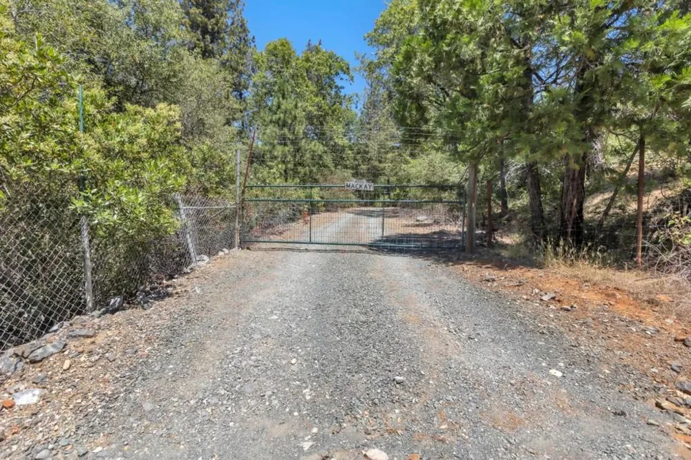 Lake Francis Dobbins, CA 95935