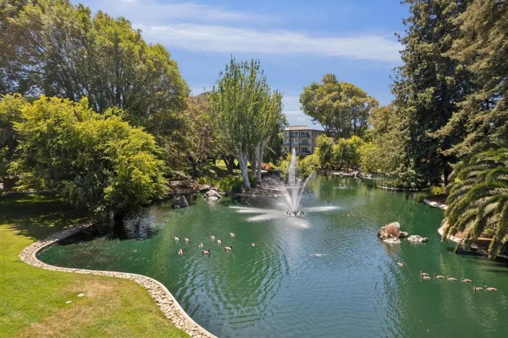 835 Humboldt Street #412 San Mateo, CA 94401