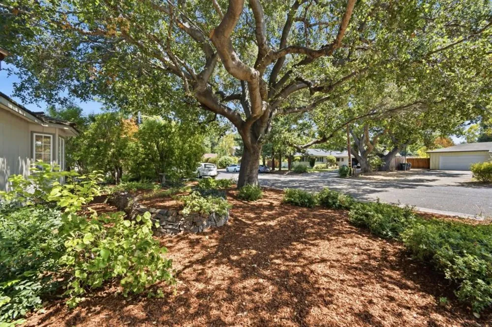 1021 Alegre Avenue Los Altos, CA 94024