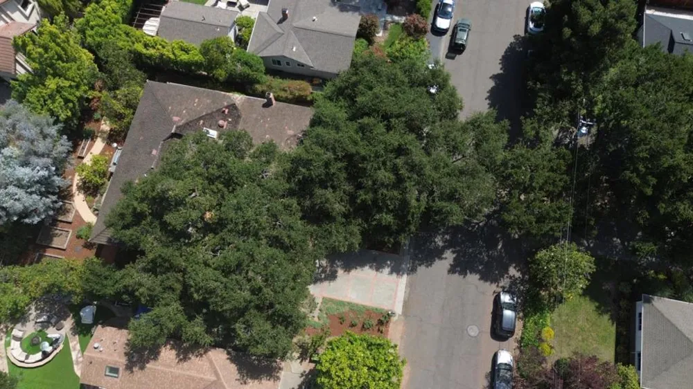 1021 Alegre Avenue Los Altos, CA 94024