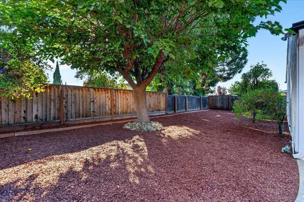 1055 Summerwood Court San Jose, CA 95132