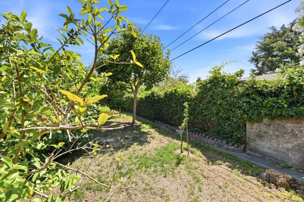 1464 Hillsdale Avenue San Jose, CA 95118