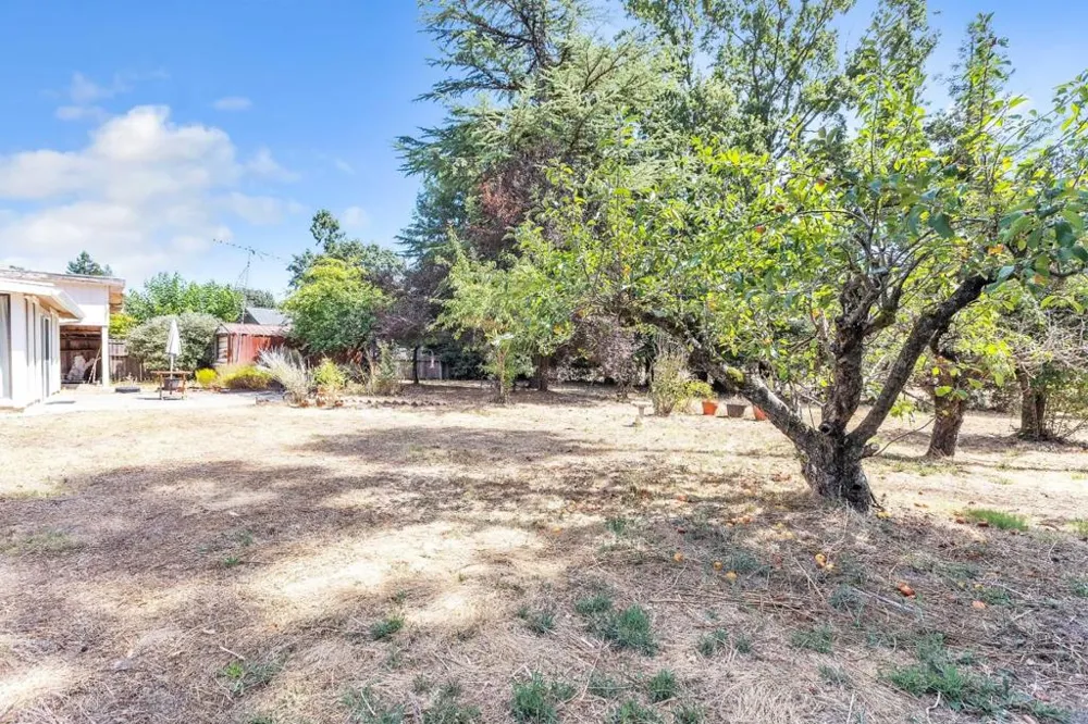 533 Hart Lane Sebastopol, CA 95472