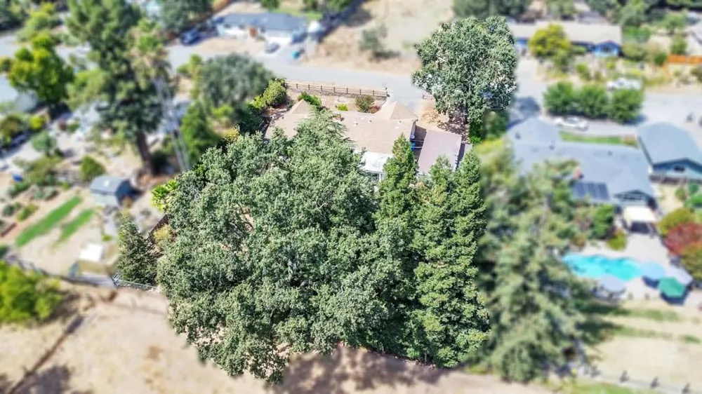 533 Hart Lane Sebastopol, CA 95472