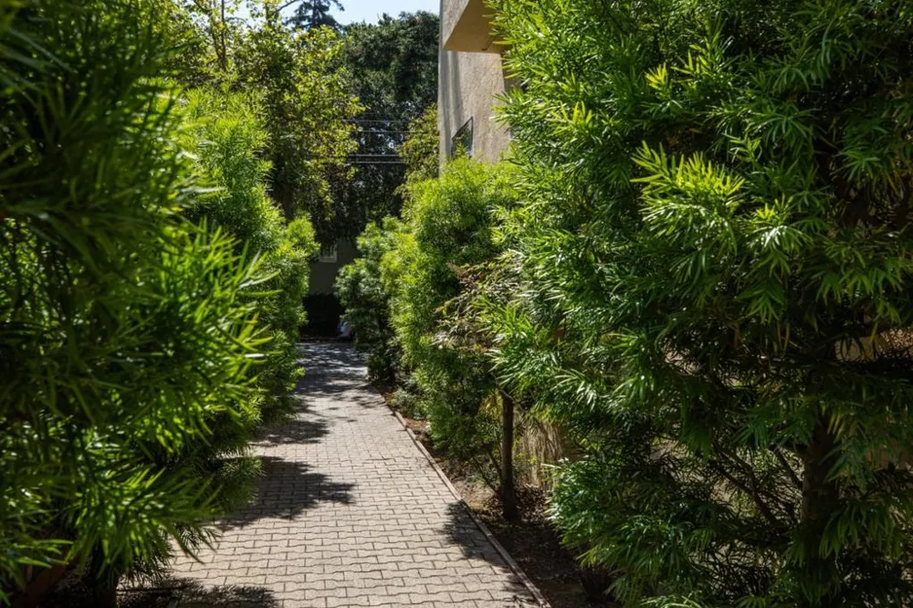 229 E Bellevue Avenue #9 San Mateo, CA 94401