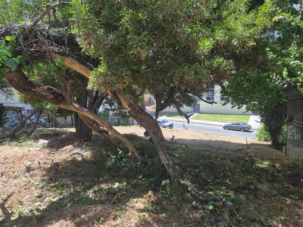 2120 35th Avenue Oakland, CA 94601