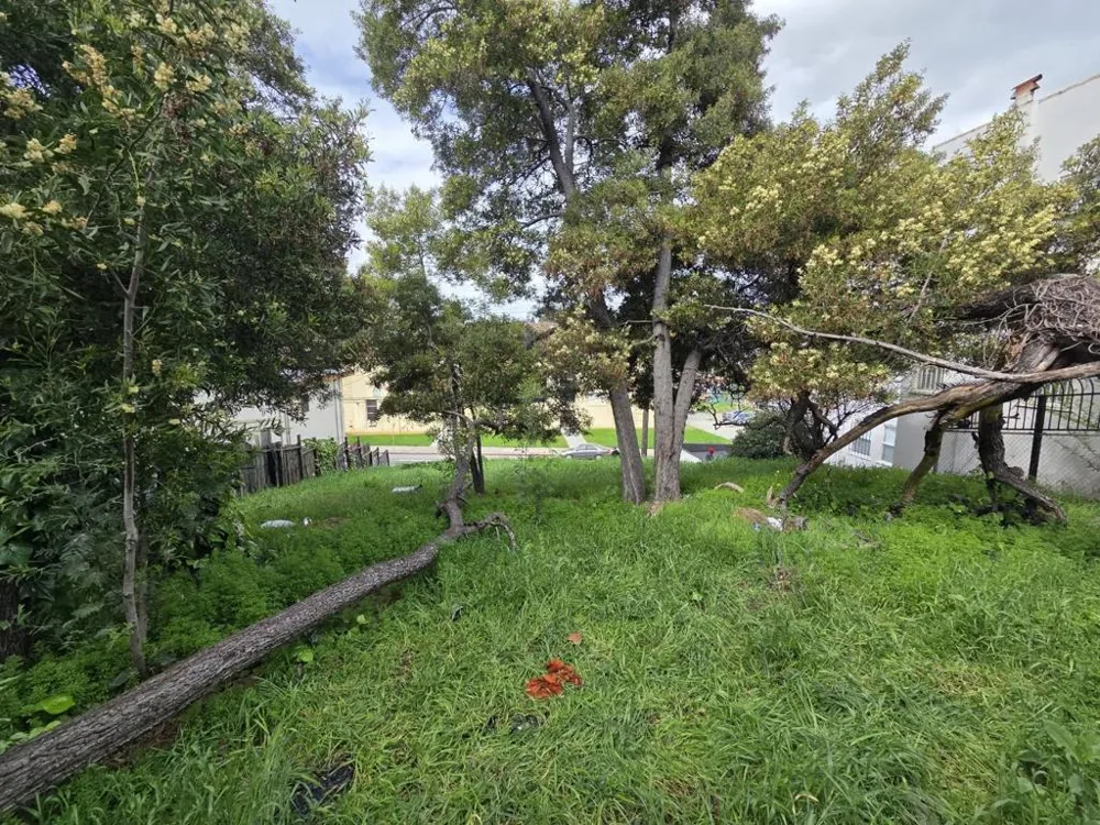 2120 35th Avenue Oakland, CA 94601