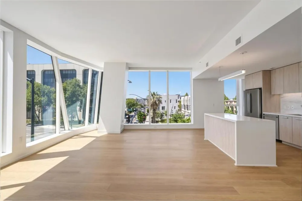 188 W Saint James Street #10302 San Jose, CA 95110