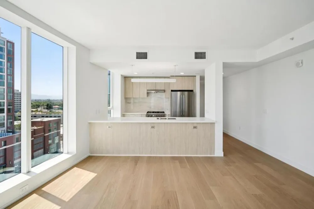 188 W Saint James Street #11119 San Jose, CA 95110