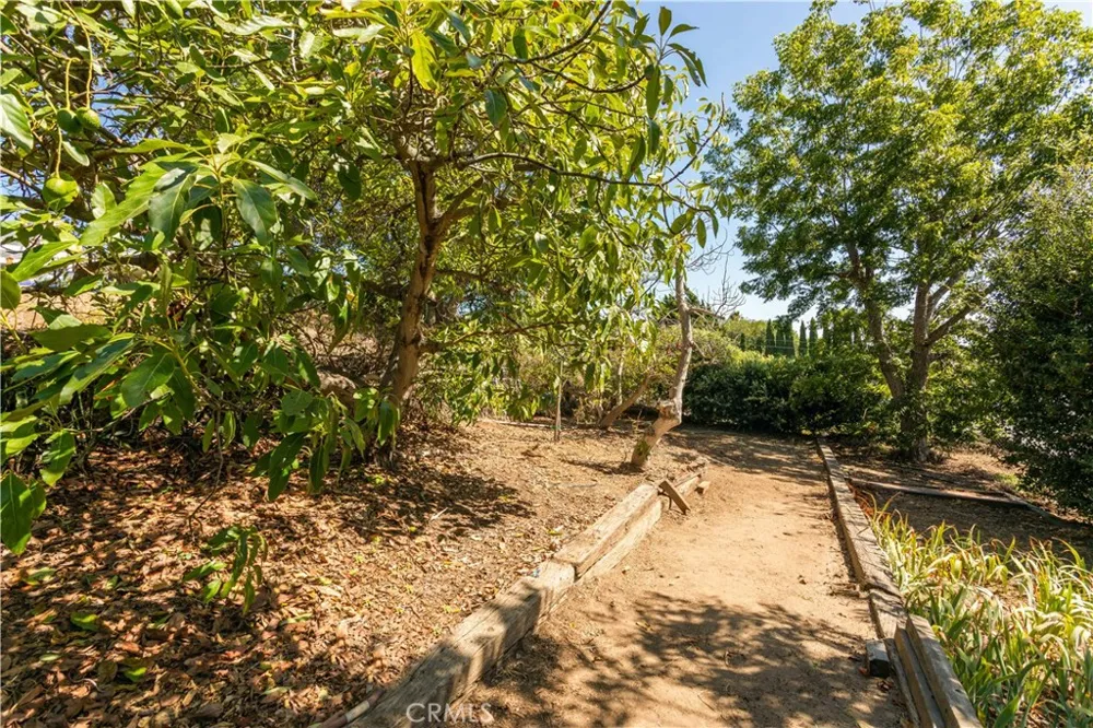 1065 Anza Vista, CA 92084