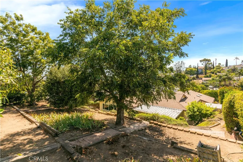 1065 Anza Vista, CA 92084