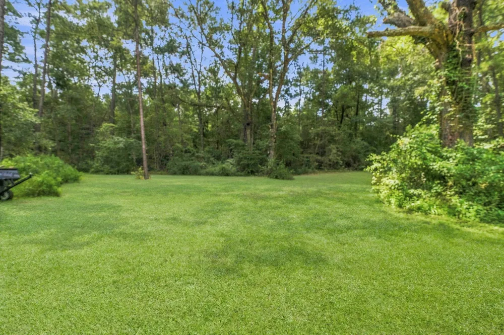 340 Tree Monkey Road Livingston, TX 77351