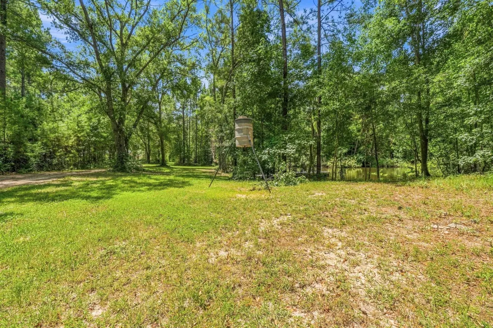 340 Tree Monkey Road Livingston, TX 77351