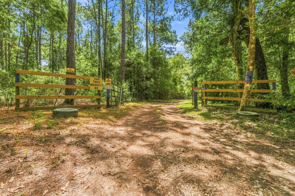 340 Tree Monkey Road Livingston, TX 77351
