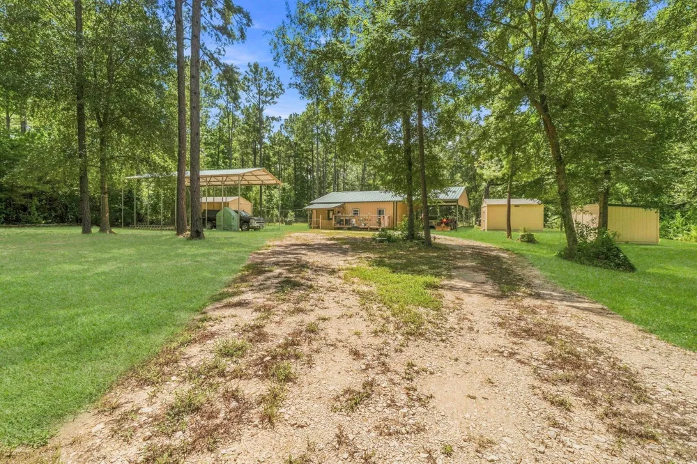 340 Tree Monkey Road Livingston, TX 77351